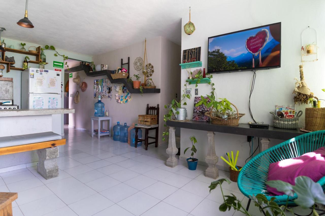 Hostal Cuca Macuca Puerto Morelos Luaran gambar